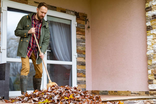 Best Affordable Junk Removal Services  in Holton, KS